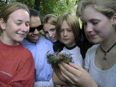 Nest.jpg (72964 bytes)