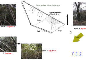 Fig2Mid.jpg (18568 bytes)