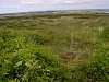 The dunes are host to over 400 species of plants