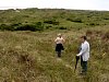 View of Braunton Burrows, Britain's largest sand dune system.