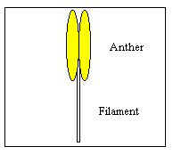 flwm2.jpg (7224 bytes)