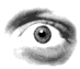 oog_a.gif (8989 bytes)