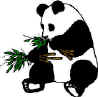 Pandas eat only bamboo.