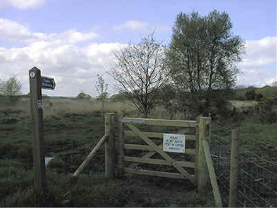 Gate.jpg (82652 bytes)