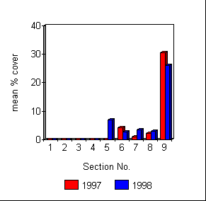 wpe7B.gif (3520 bytes)