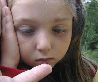 wpe27.gif (174785 bytes)