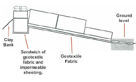 cao2b.jpg (22012 bytes)