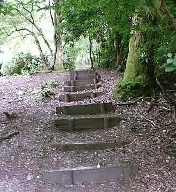 stairway1.jpg (60928 bytes)