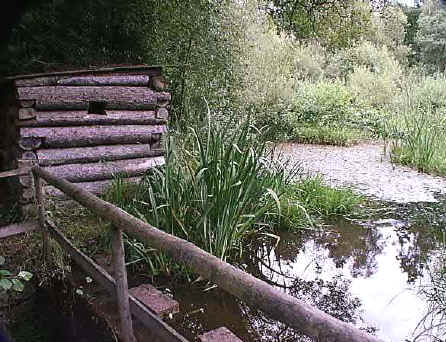 wetland&hide2.jpg (66384 bytes)