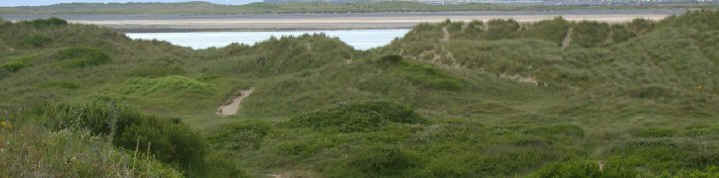 Dune scrub develops on the ridges of older dunes.