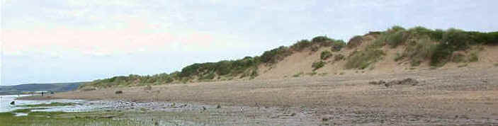 With high wind speeds and  little sand, the wind will continually shift the sand from the top of the dune to the windward edge, causing the dune to move landwards - a mobile dune.