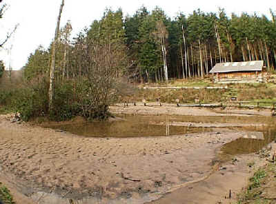 A pond after flooding with heavily silt-laden water. Much of the pond has been completely filled up with sediment.
