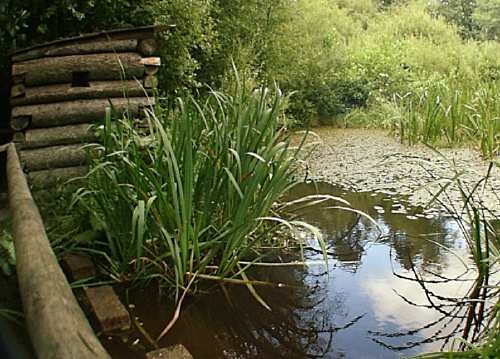 hide_web.JPG (38908 bytes)