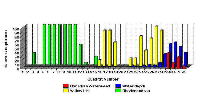 wpe88.jpg (45773 bytes)