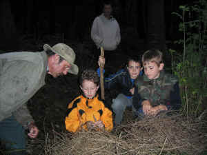 Young Rangers looking at a Sparrowhawk nest which has fallen out of the tree.